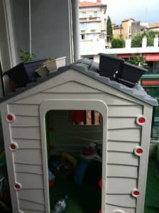 Le jardin suspendu de Bébé