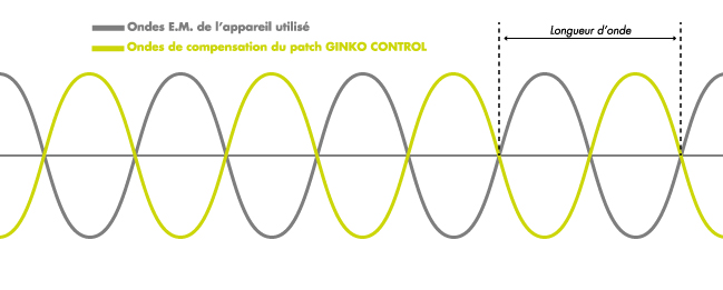 Déphasage 180 des ondes GinkoControl